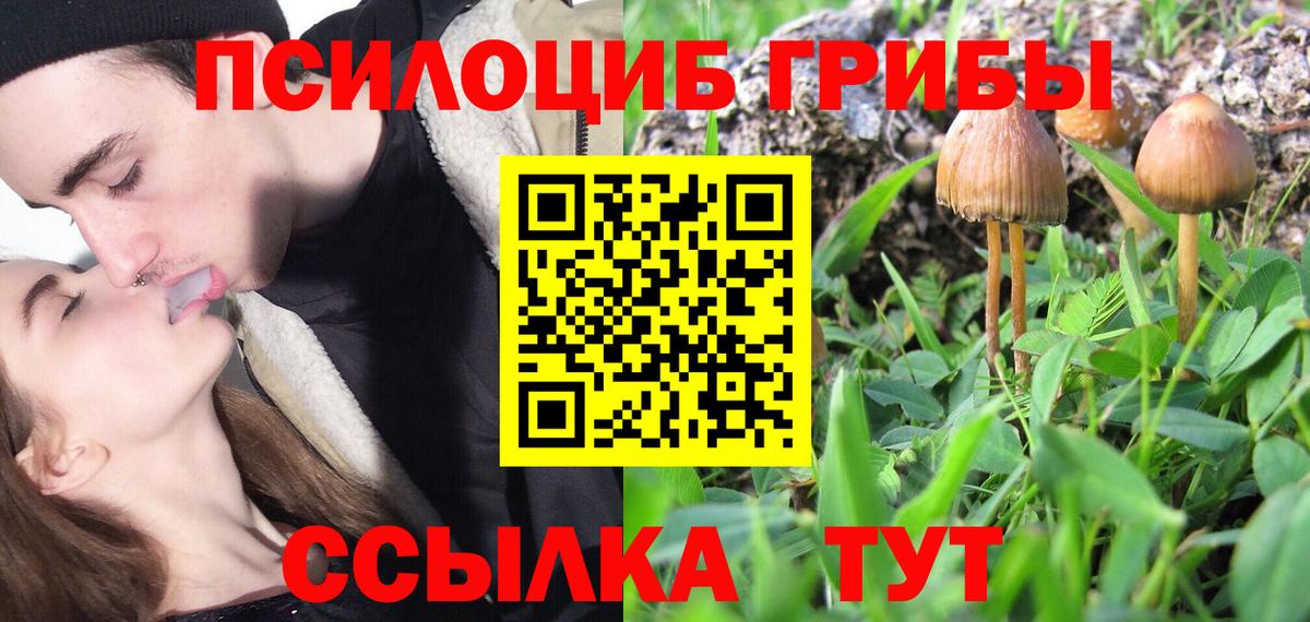 закладки  Вход с VPN  Калининград  Галлюциногенные грибы GOLDEN TEACHER  Галлюциногенные грибы Magic Shrooms 